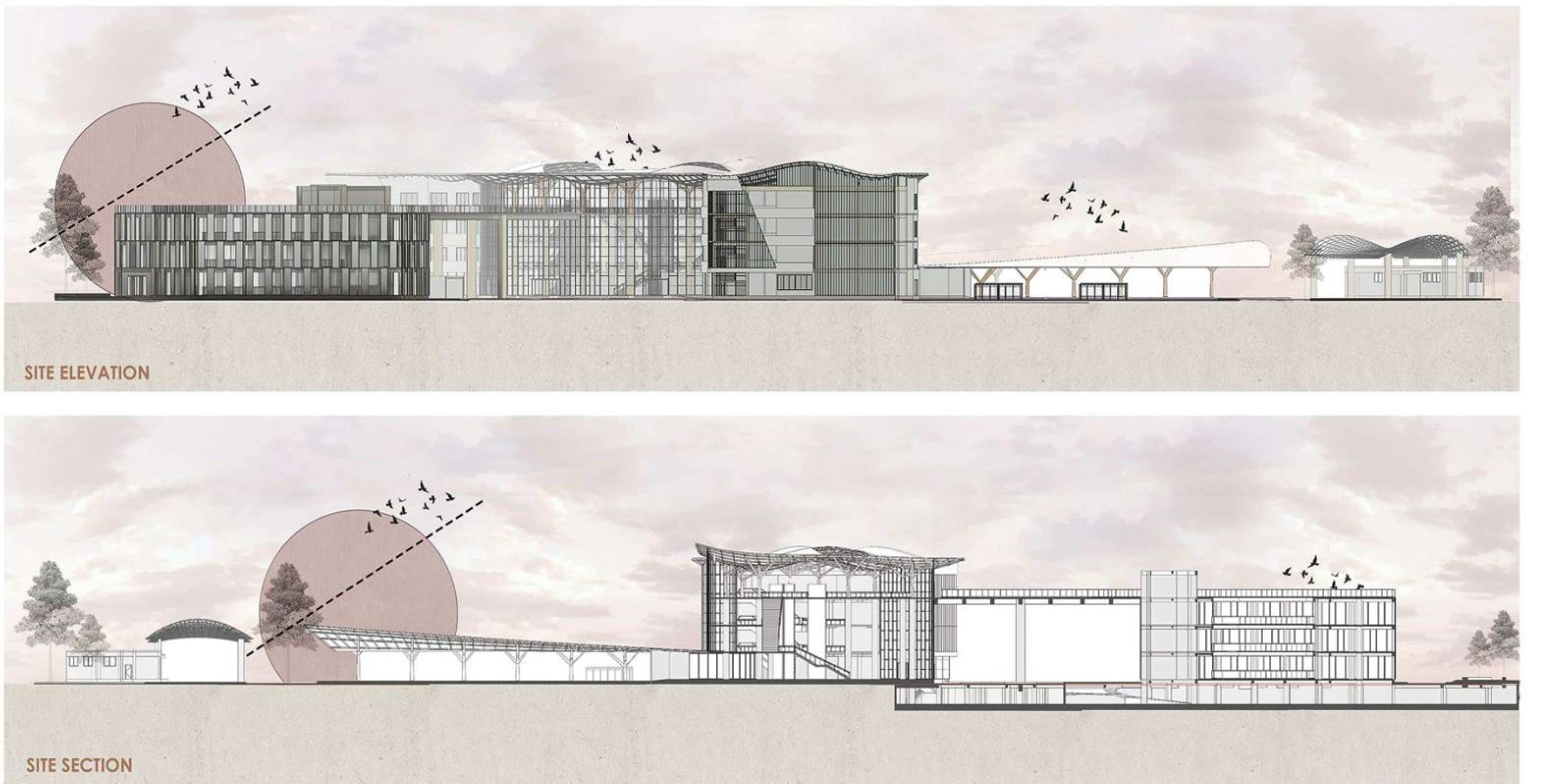 Site elevation and site section of the terminal